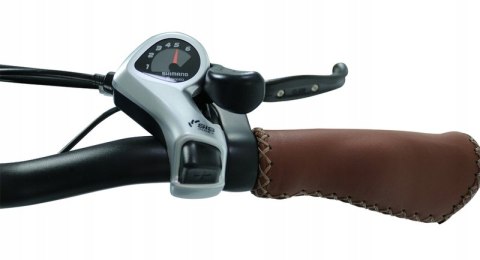 Blaupunkt "FRIDA" rower elektryczny składany 24 cale