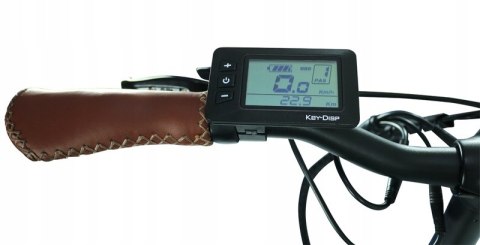 Blaupunkt "FRIDA" rower elektryczny składany 24 cale