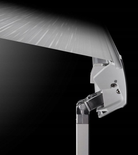 Markiza ścienna roleta Omnistor 5200 Thule 4 m srebrny