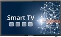 TELEWIZOR DO KAMPERA PRZYCZEPY MEGASAT ROYAL LINE IV 24'' SMART TV